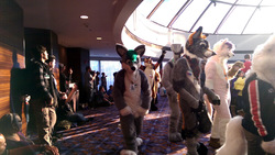 cons/mff2015/chazz.parade-fyl/IMAG0103.adjusted.jpg