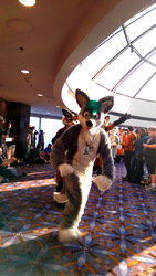 cons/mff2015/chazz.parade-fyl/IMAG0104.adjusted.jpg