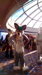 cons/mff2015/chazz.parade-fyl/IMAG0105.adjusted.jpg